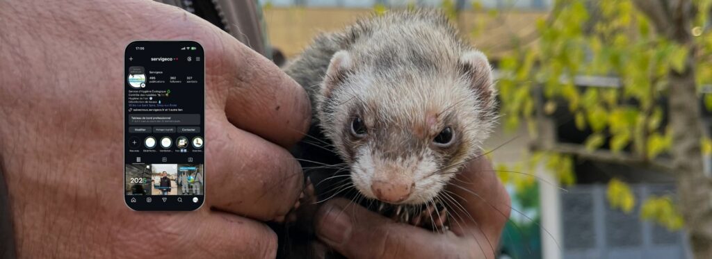 Projet Servigeco Création SMA