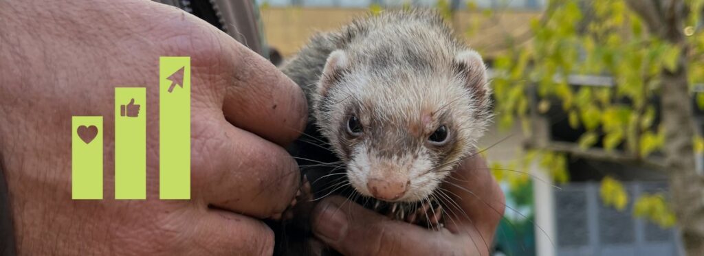 Projet Servigeco Gestion SEA